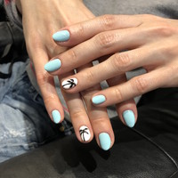 Nails (288)